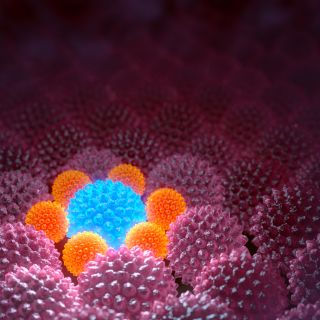 Rigenerazione dei tessuti